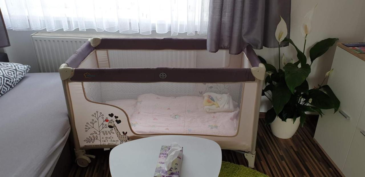 Laura'S Apartment Карлові Вари Екстер'єр фото